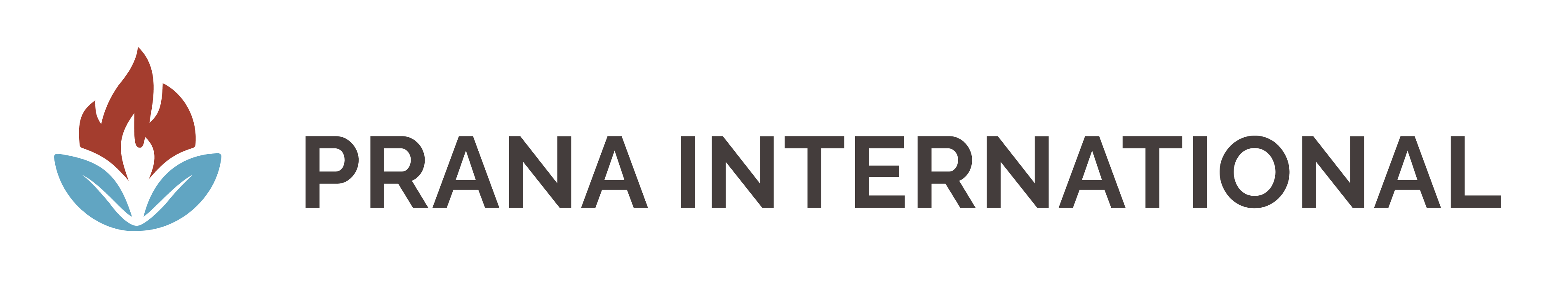 A logo with a red flame with blue-green leaves underneath it with "Prana International" Next to it in black text,